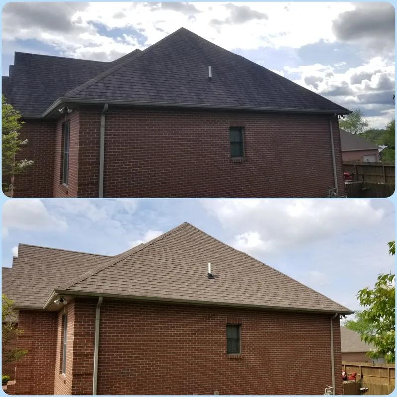 Roof Cleaning